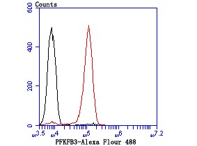 verifiedActivity