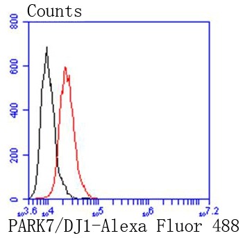 verifiedActivity