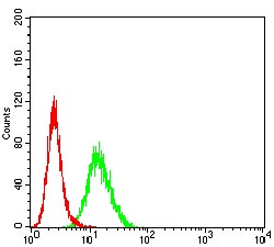 verifiedActivity