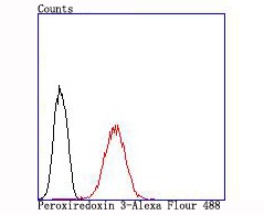 verifiedActivity