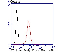 verifiedActivity