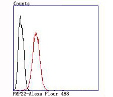 verifiedActivity