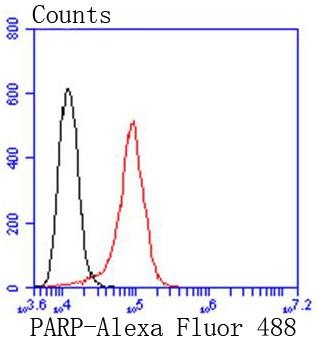 verifiedActivity