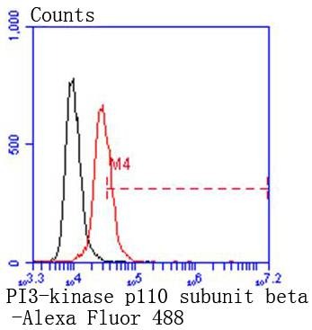 verifiedActivity