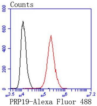 verifiedActivity