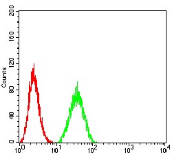 verifiedActivity