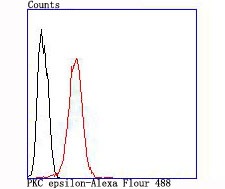 verifiedActivity