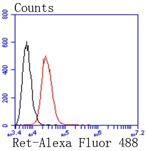 verifiedActivity