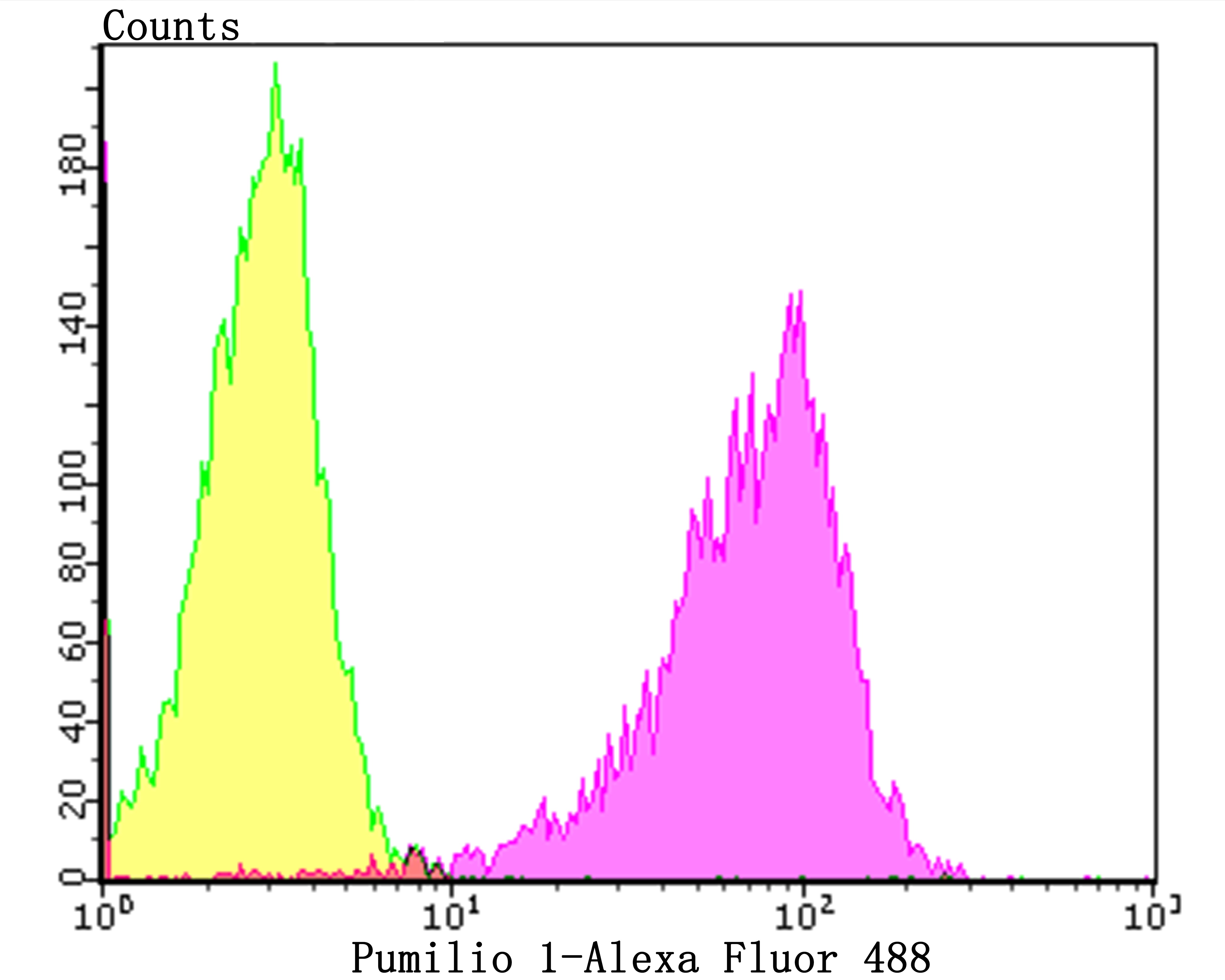 verifiedActivity