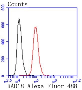 verifiedActivity