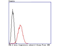 verifiedActivity