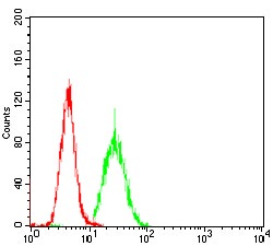 verifiedActivity