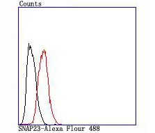 verifiedActivity