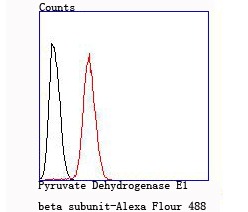 verifiedActivity