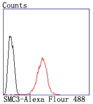 verifiedActivity