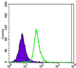 verifiedActivity