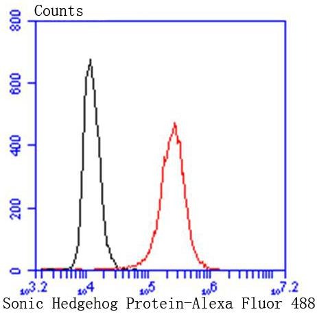 verifiedActivity