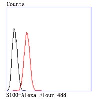 verifiedActivity