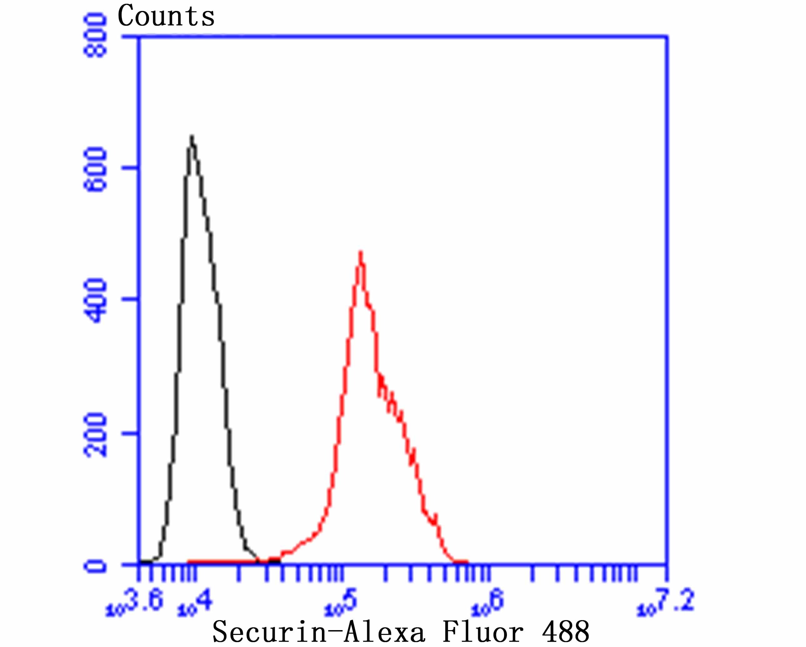 verifiedActivity