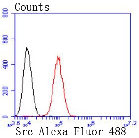 verifiedActivity