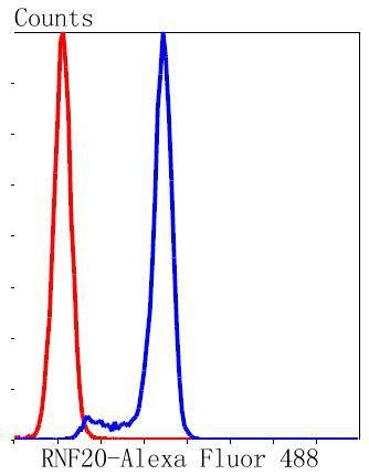 verifiedActivity