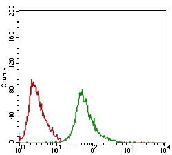 verifiedActivity