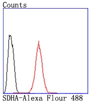 verifiedActivity