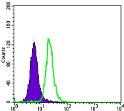 verifiedActivity
