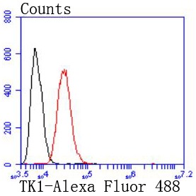 verifiedActivity