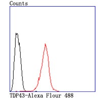verifiedActivity