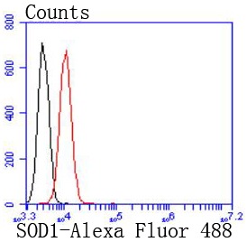 verifiedActivity