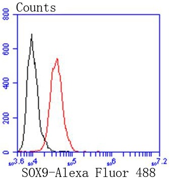 verifiedActivity