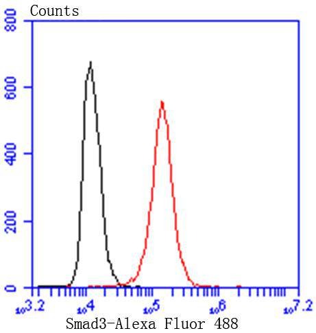 verifiedActivity