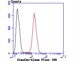 verifiedActivity
