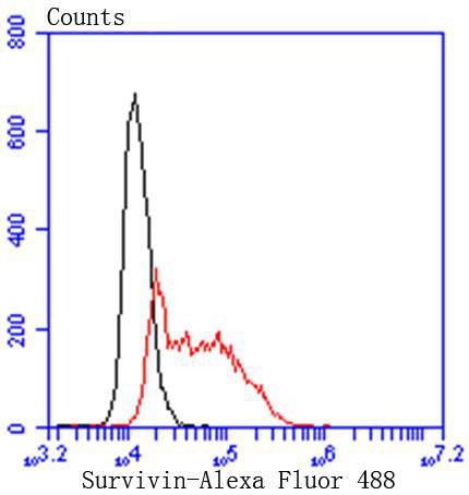 verifiedActivity