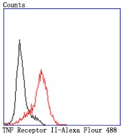 verifiedActivity