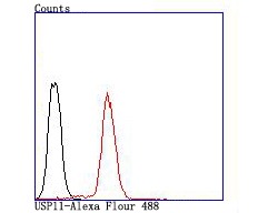 verifiedActivity