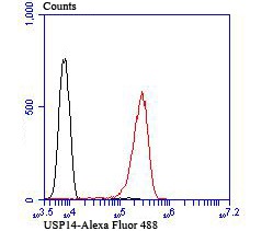 verifiedActivity