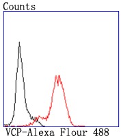 verifiedActivity