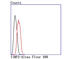 verifiedActivity