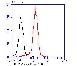 verifiedActivity