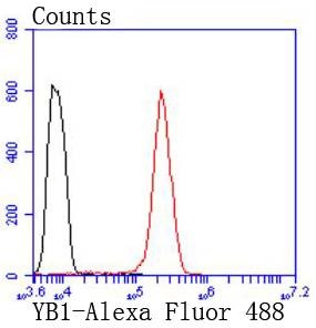 verifiedActivity