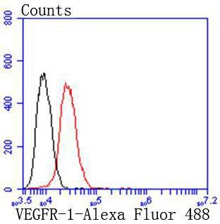 verifiedActivity
