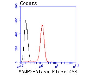 verifiedActivity