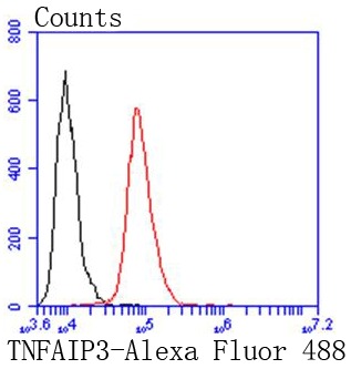 verifiedActivity