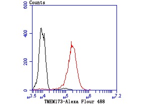 verifiedActivity