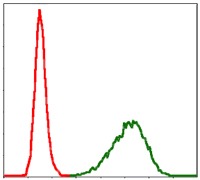 verifiedActivity