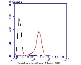 verifiedActivity