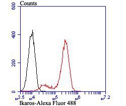 verifiedActivity