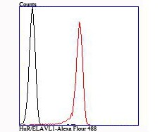 verifiedActivity